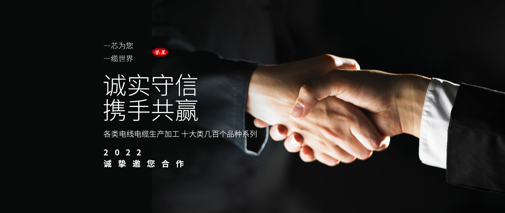 	 金星线缆有限责任公司
